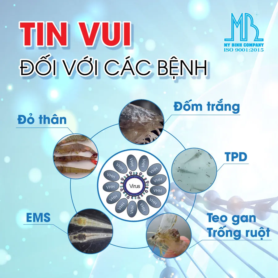 Ig-Guard A - Phòng bệnh TPD, teo gan trống ruột, đốm trắng, đỏ thân, EMS.