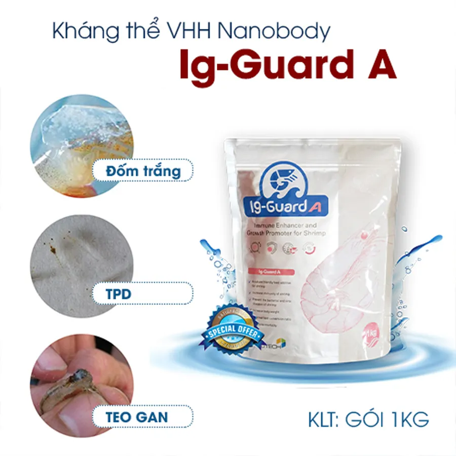 Ig-Guard A - Phòng bệnh TPD, teo gan trống ruột, đốm trắng, đỏ thân, EMS.