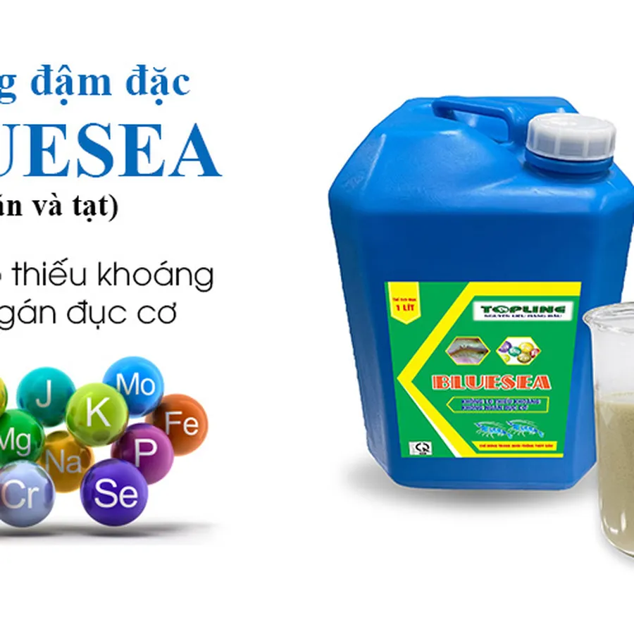 Khoáng đậm đặc BLUESEA - Khoáng cho ăn và tạt phòng bệnh cong thân đục cơ trên tôm