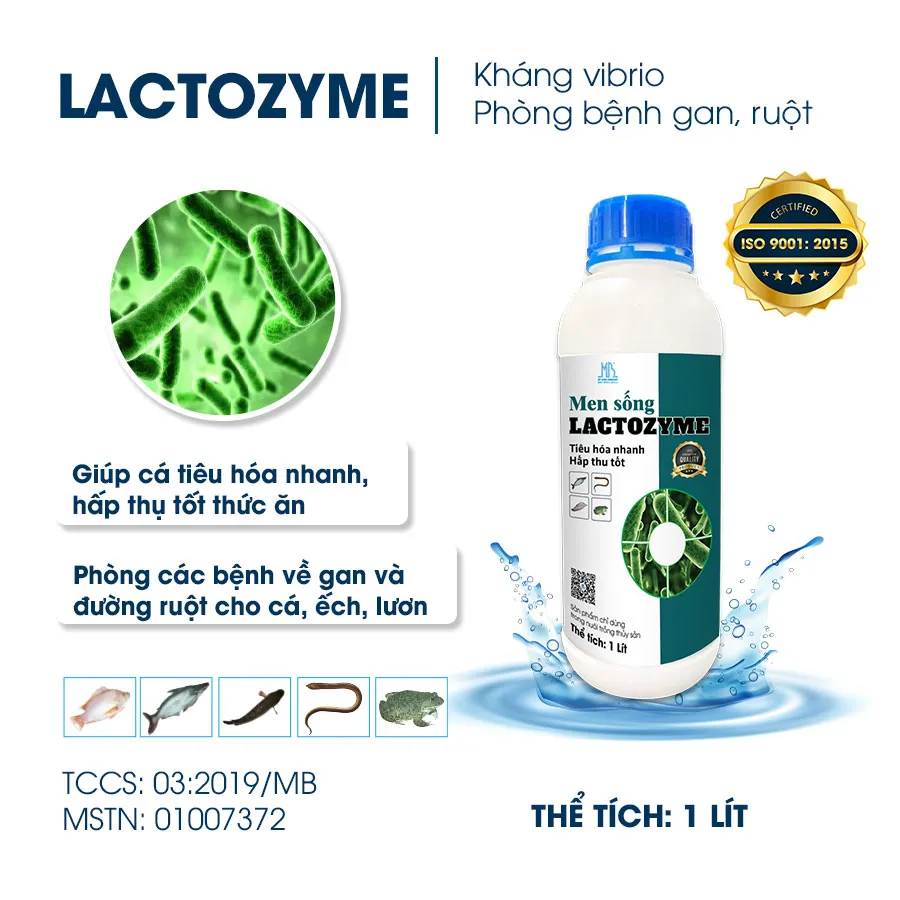 Men sống LACTOZYME - Giúp cá tiêu hóa nhanh, hấp thu tốt