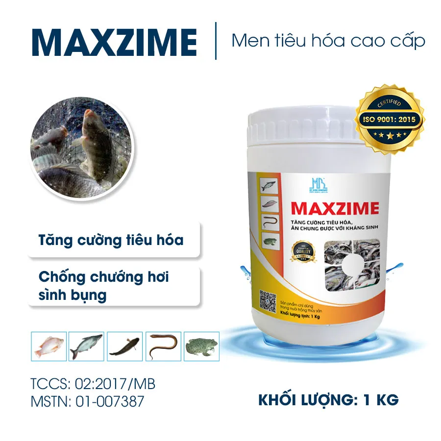 MAXZIME - Enzyme đậm đặc cho cá dùng chung với kháng sinh