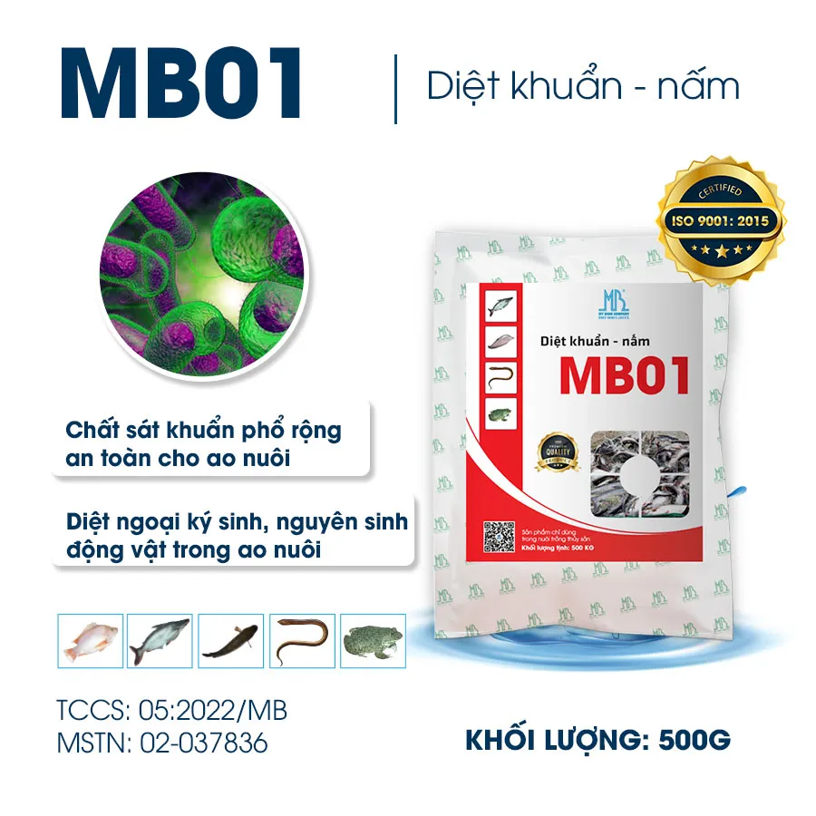 Diệt khuẩn - nấm MB01 dành cho cá