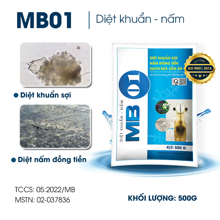 MB01 - Diệt khuẩn vibrio, nấm nhớt, nấm đồng tiền trong ao nuôi tôm