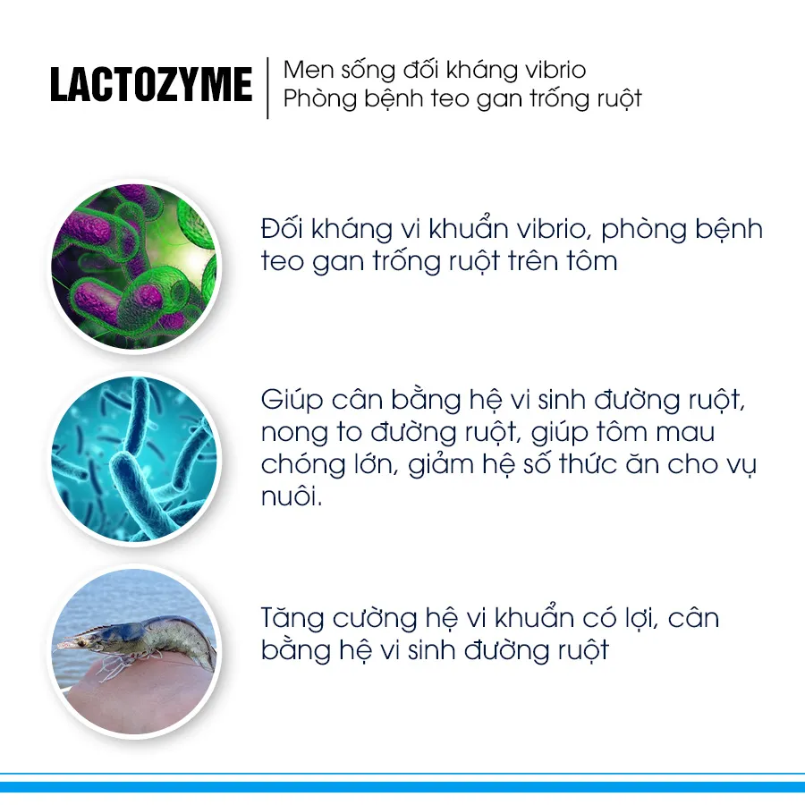 LACTOZYME - Prevent from loose feces, broken feces, white feces syndrome.