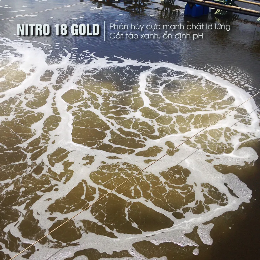 NITRO 18  - Microbiology handling water pond aquaculture