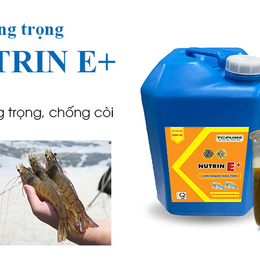 NUTRIN E+ Siêu tăng trọng cho tôm