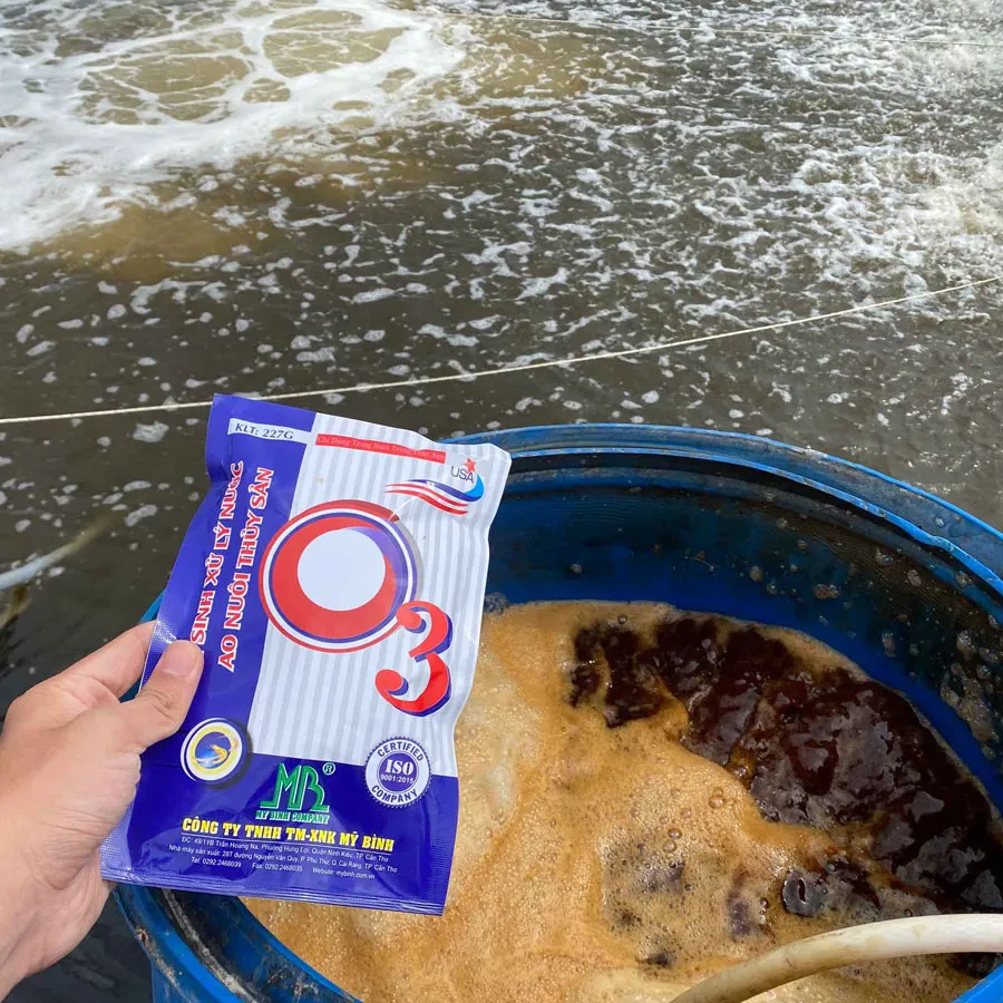 O3 - Men vi sinh xử lý nước đáy ao tôm, cắt tảo xanh, ổn định pH