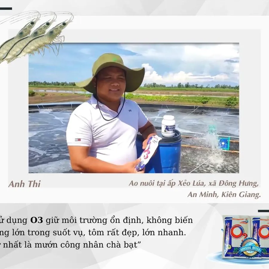 O3 - Men vi sinh xử lý nước đáy ao tôm, cắt tảo xanh, ổn định pH