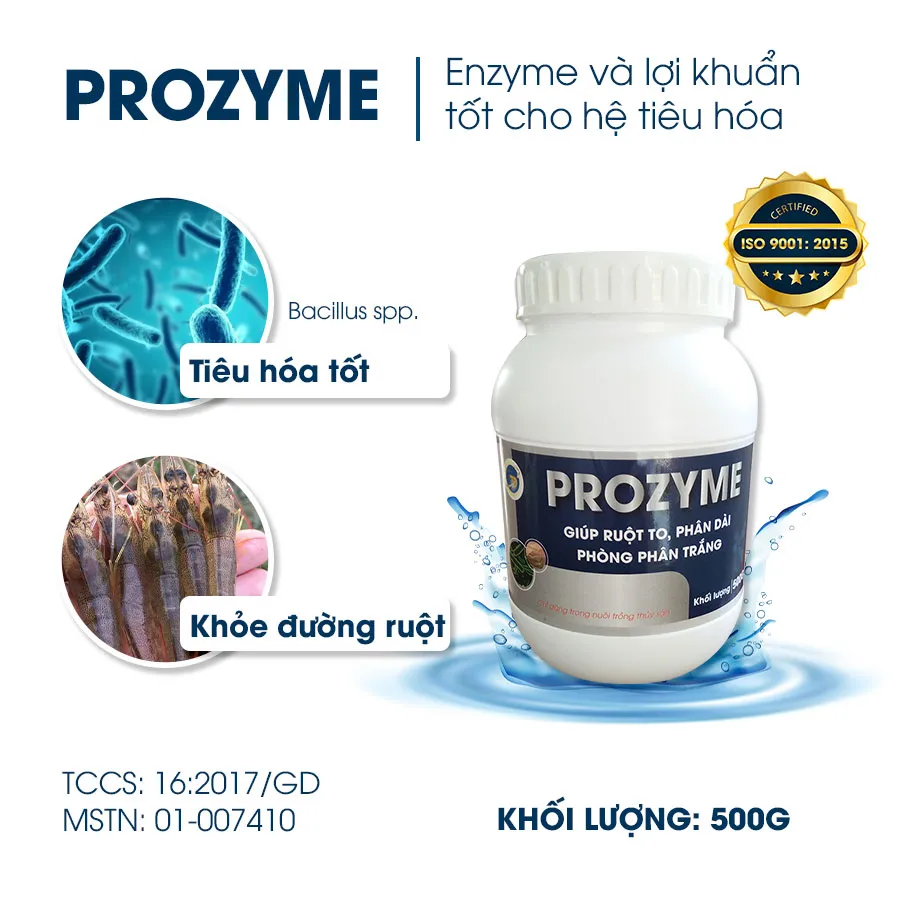 PROZYME - Giúp ruột to, phân dài, phòng phân trắng cho tôm