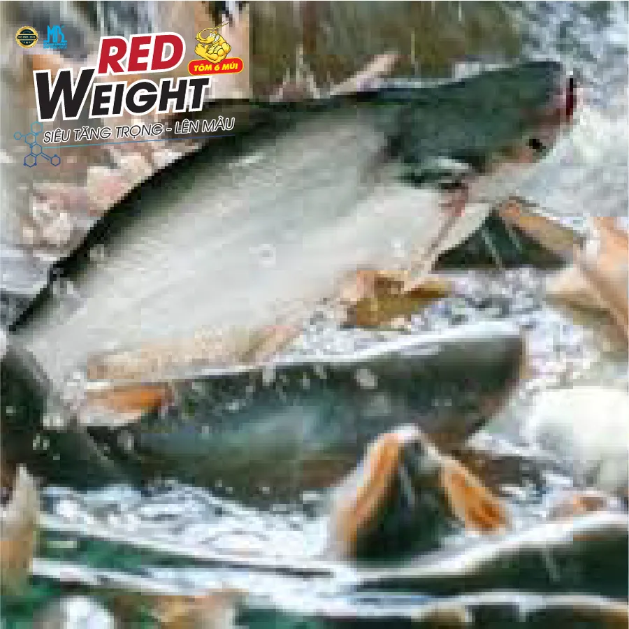RED WEIGHT - Shrimp growth booster, Shrimp color enhancer