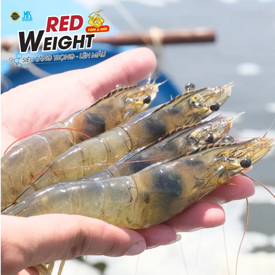 RED WEIGHT - Shrimp growth booster, Shrimp color enhancer