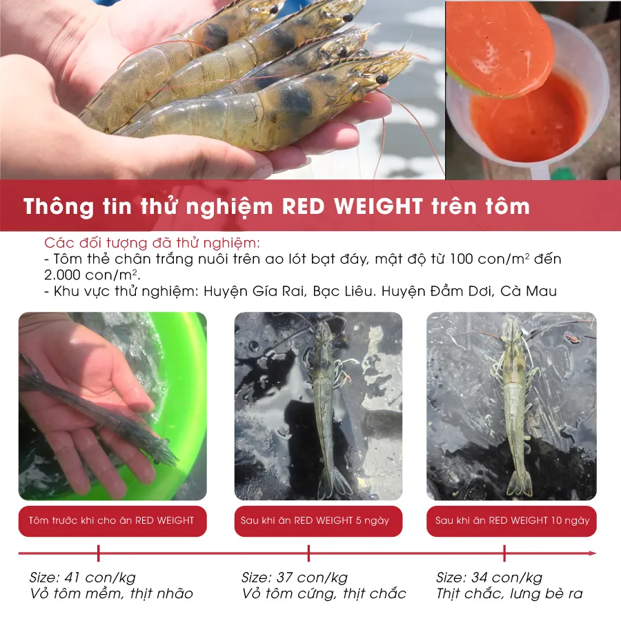 RED WEIGHT - Shrimp growth booster, Shrimp color enhancer