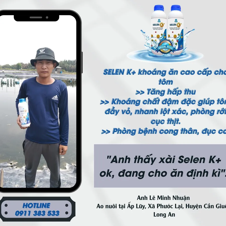 SELEN K+ supplement aids in the prevention of body curvature and white muscle disease for shrimp