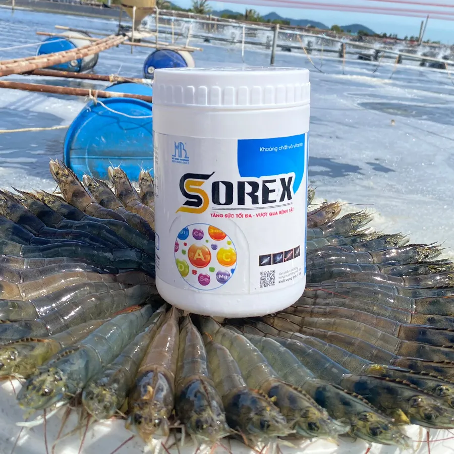 SOREX - Tăng sức tối đa, vượt qua bệnh tật