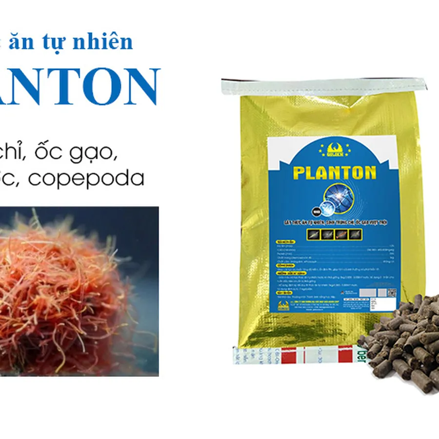 PLANTON - Tạo thức ăn tự nhiên trong ao nuôi tôm