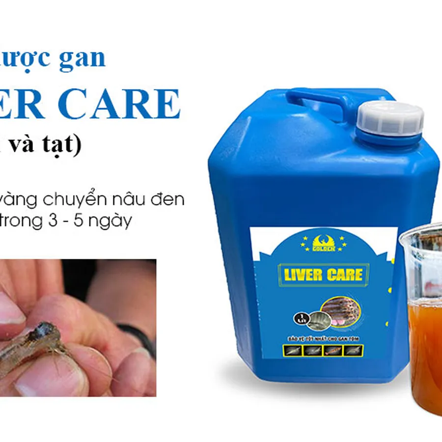 Thảo dược gan LIVER CARE - Phòng trị bệnh gan cho tôm