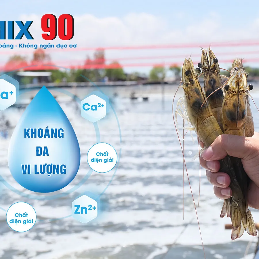 VIMIX 90 – Không lo thiếu khoáng, không ngán đục cơ. Khoáng cho tôm nuôi