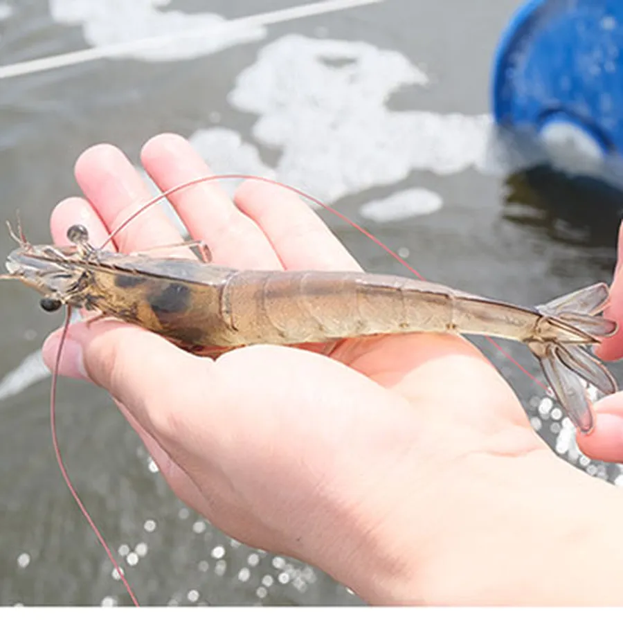 VIMIX 90 – Không lo thiếu khoáng, không ngán đục cơ. Khoáng cho tôm nuôi