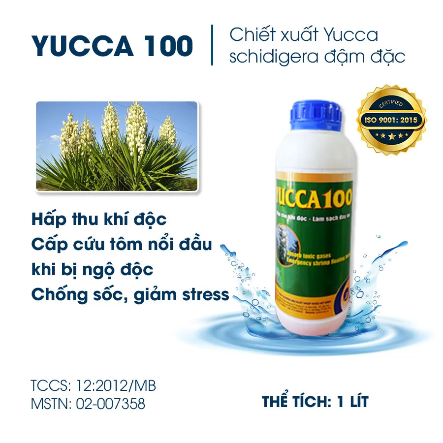 YUCCA 100 - Hấp thụ khí độc, khử mùi hôi ao tôm