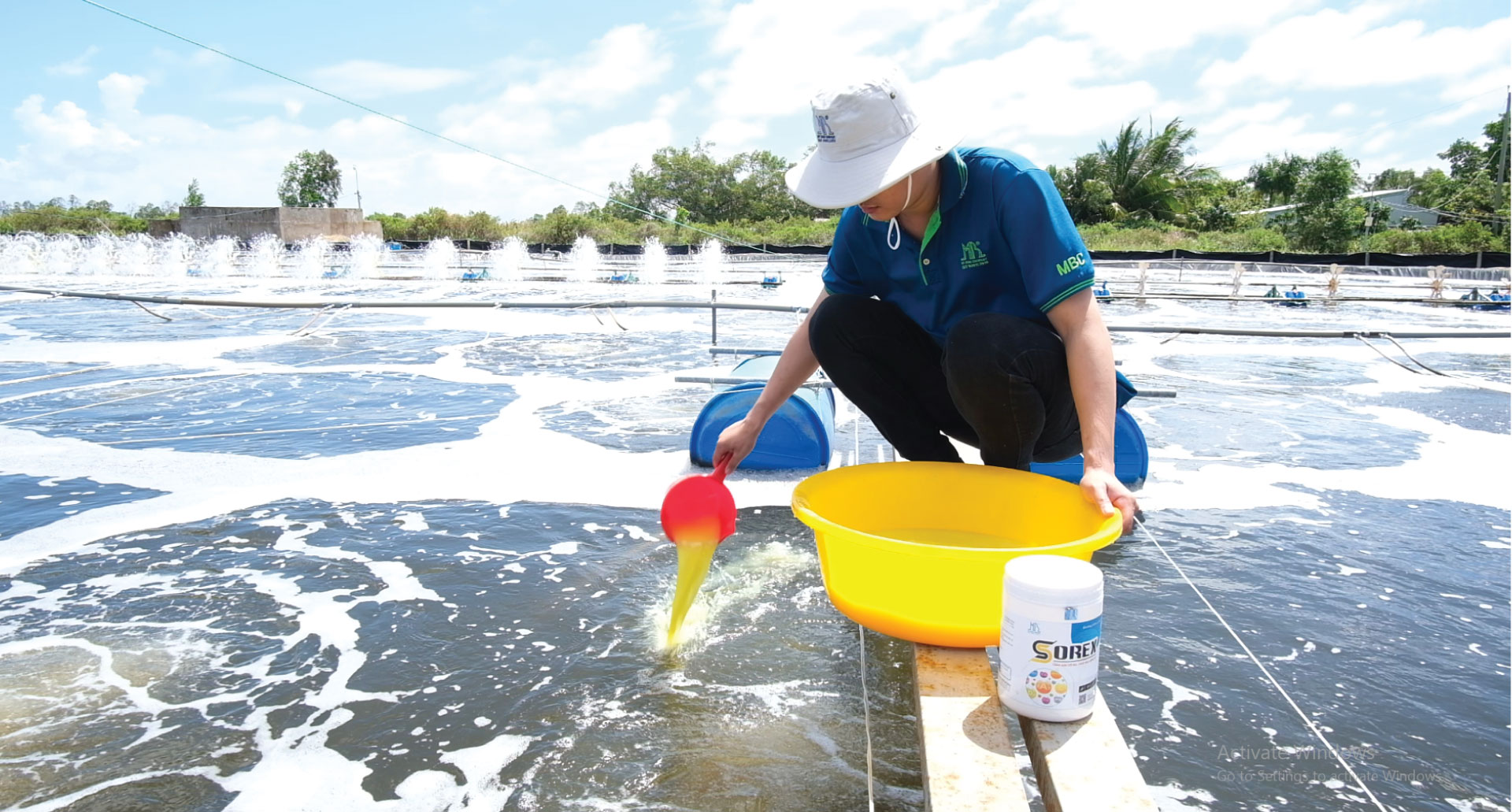 bổ sung Sorex trong giải pháp EHP và vi rút đốm trắng của Mỹ Bình