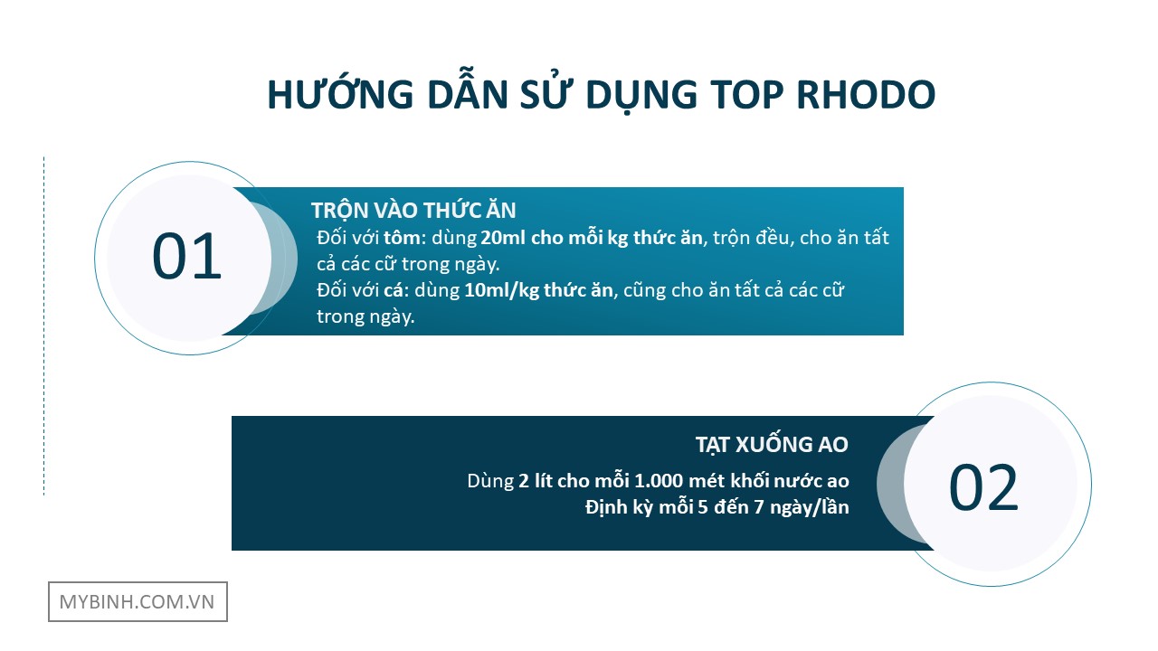 TOP RHODO men vi sinh cho tôm nuôi, Rhodopseudomonas palustris