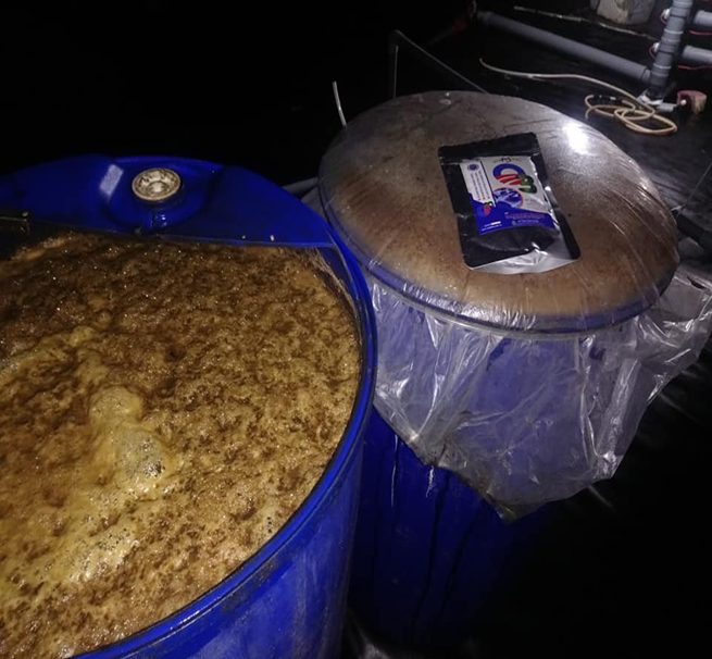 ủ yếm khí men vi sinh trong 24 tiếng