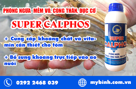 Cung cấp khoáng chất cho tôm nuôi phòng ngừa mềm vỏ, cong thân, đục cơ. Cung cấp khoáng chất cho tôm nuôi phòng ngừa mềm vỏ, cong thân, đục cơ.