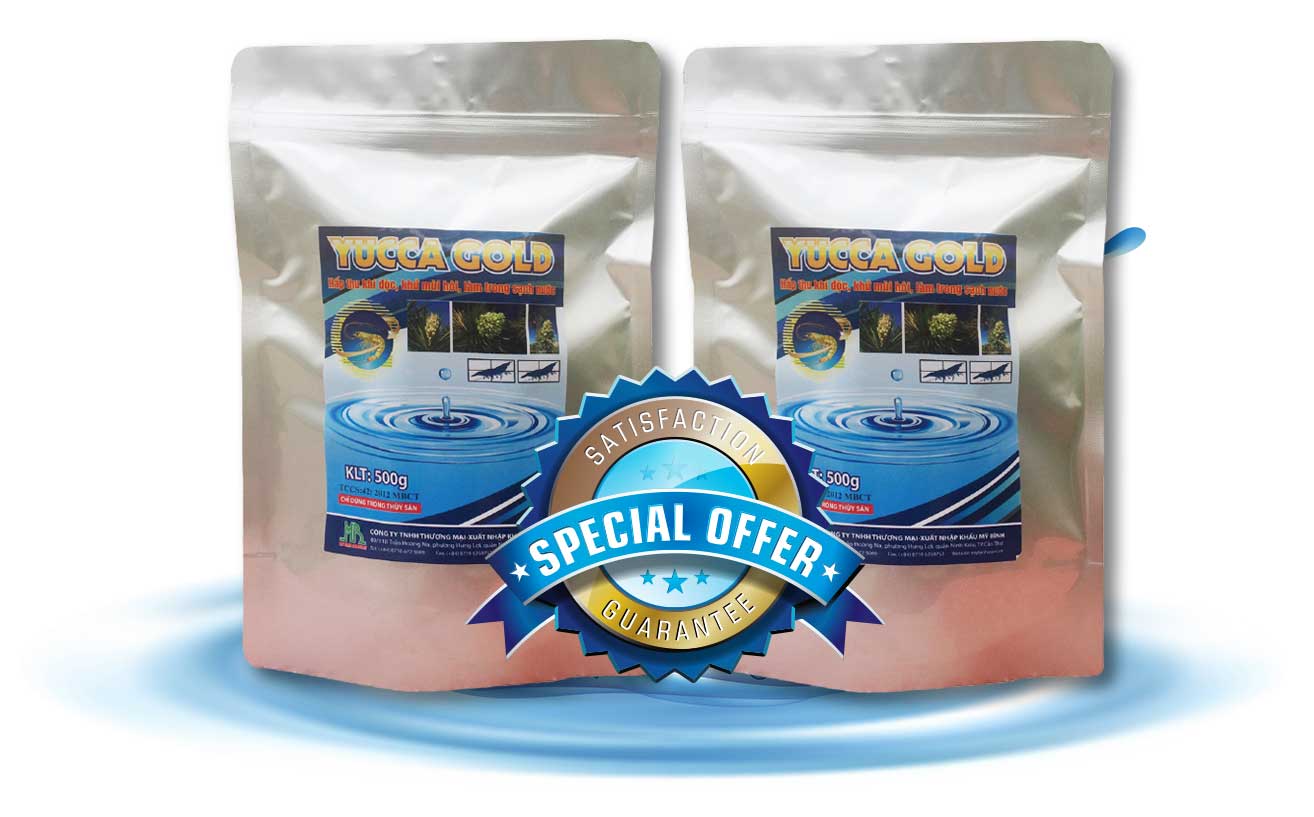 YUCCA GOLD - Hấp thu khí độc trong ao tôm, khử mùi hôi nước ao tôm YUCCA GOLD - Hấp thu khí độc trong ao tôm, khử mùi hôi nước ao tôm