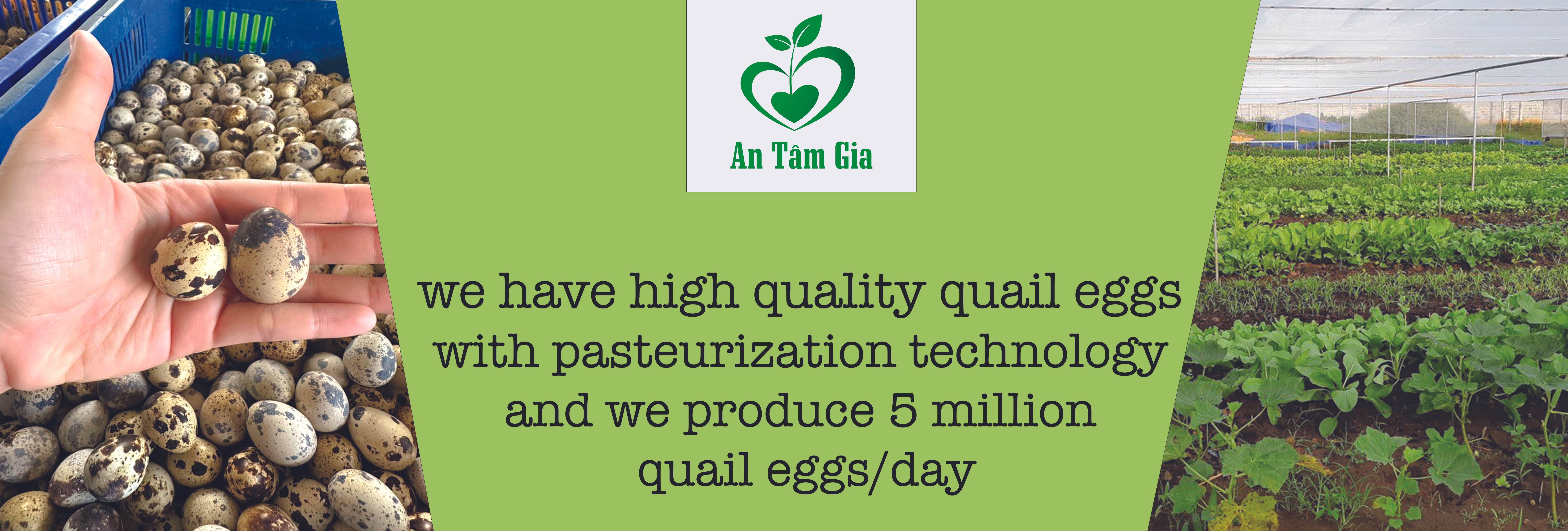 Đặc Sản Món Ngon