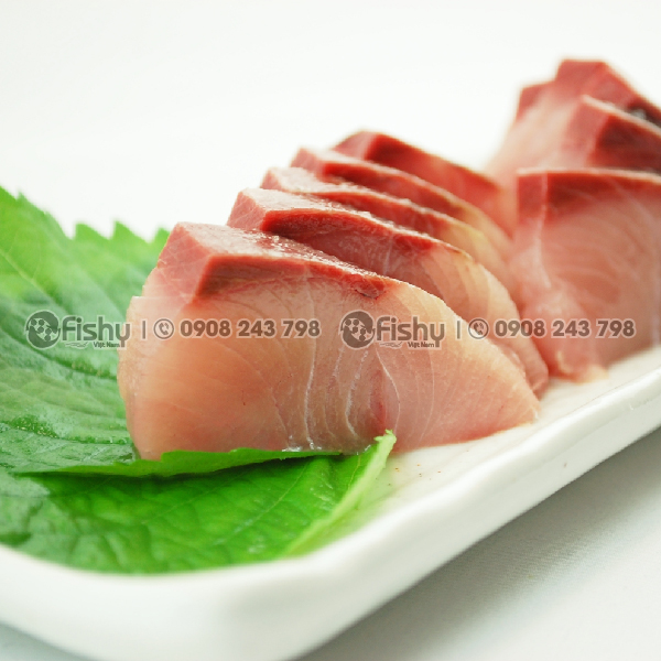 Sashimi Amberjack Sashimi Amberjack