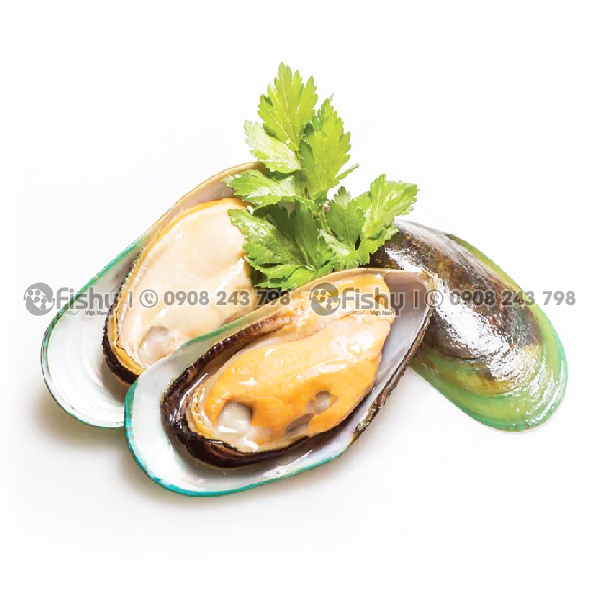Chilean green mussels Chilean green mussels