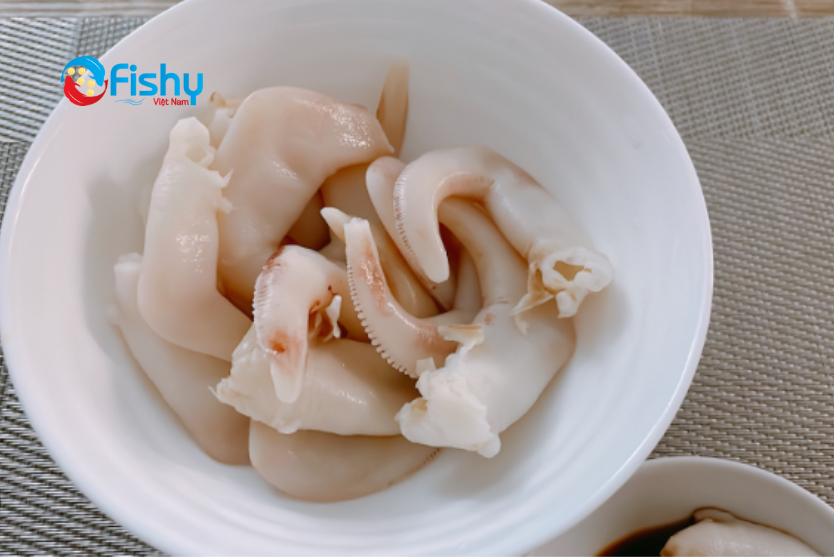 Sò dương Sò dương