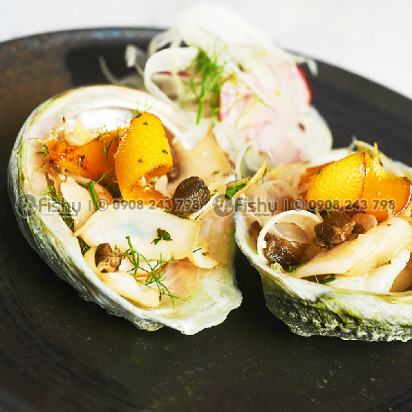 Chế biến bào ngư viền xanh Úc Chế biến bào ngư viền xanh Úc