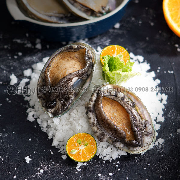 Bào ngư đông lạnh  Bào ngư đông lạnh