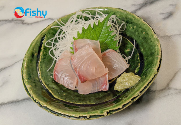 Frozen amberjack fillet kampachi Frozen amberjack fillet kampachi