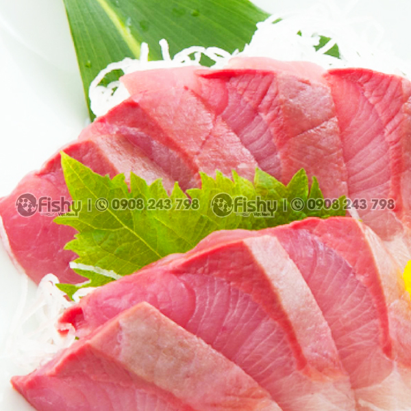 Cá cam hamachi Cá cam hamachi