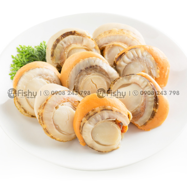 Cồi sò điệp hấp đông lạnh Cồi sò điệp hấp đông lạnh