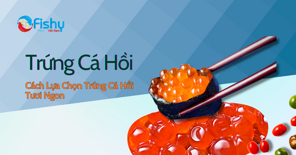 Cách lựa chọn trứng cá hồi tươi ngon Cách lựa chọn trứng cá hồi tươi ngon