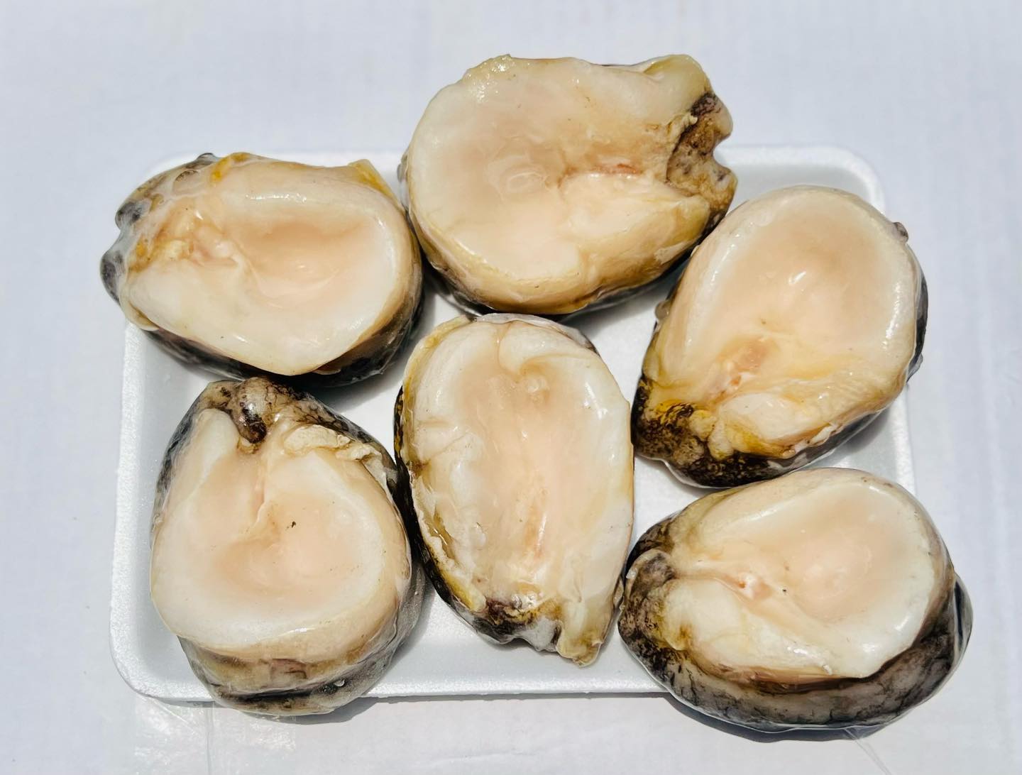 Chilean Abalone Meat Chilean Abalone Meat