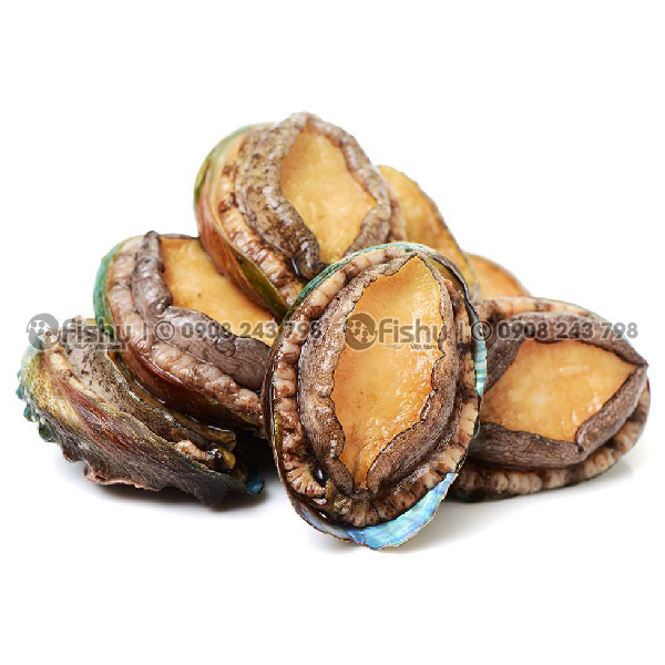 Bào ngư đông lạnh Bào ngư đông lạnh