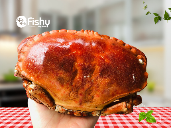 Cua nâu nguyên con đông lạnh Cua nâu nguyên con đông lạnh