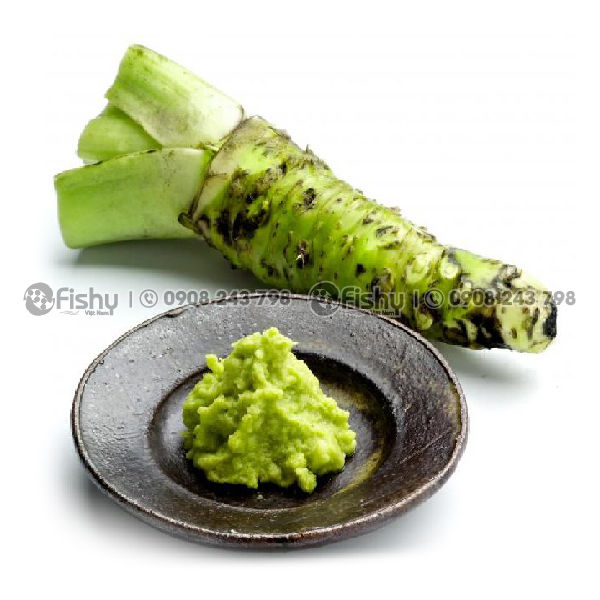 Mù tạt Nhật Mù tạt Nhật