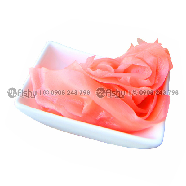 Gừng hồng Nhật Bản Gừng hồng Nhật Bản