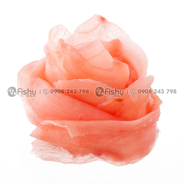 Gừng hồng Nhật Bản Gừng hồng Nhật Bản