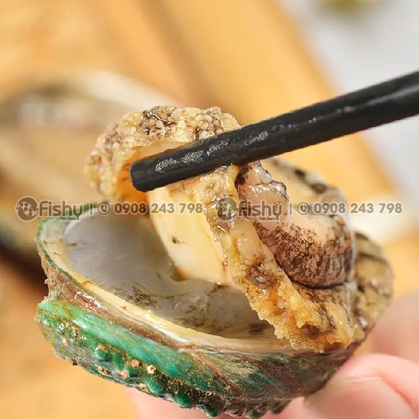 Bào ngư đông lạnh Bào ngư đông lạnh