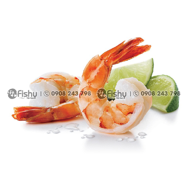 Tôm đỏ Atlantic Tôm đỏ Atlantic