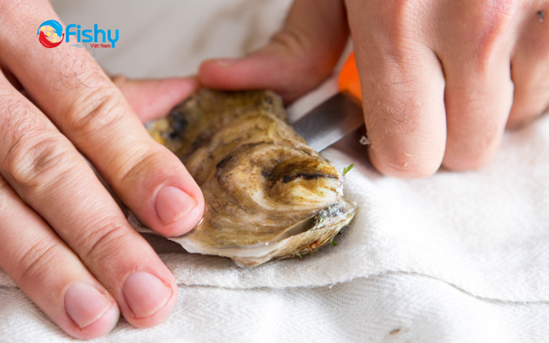 Cho các loài có vỏ vào tủ đá từ 5-10 phút để tách vỏ dễ hơn Cho các loài có vỏ vào tủ đá từ 5-10 phút để tách vỏ dễ hơn