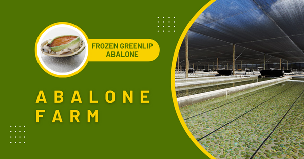 Abalone farm Abalone farm