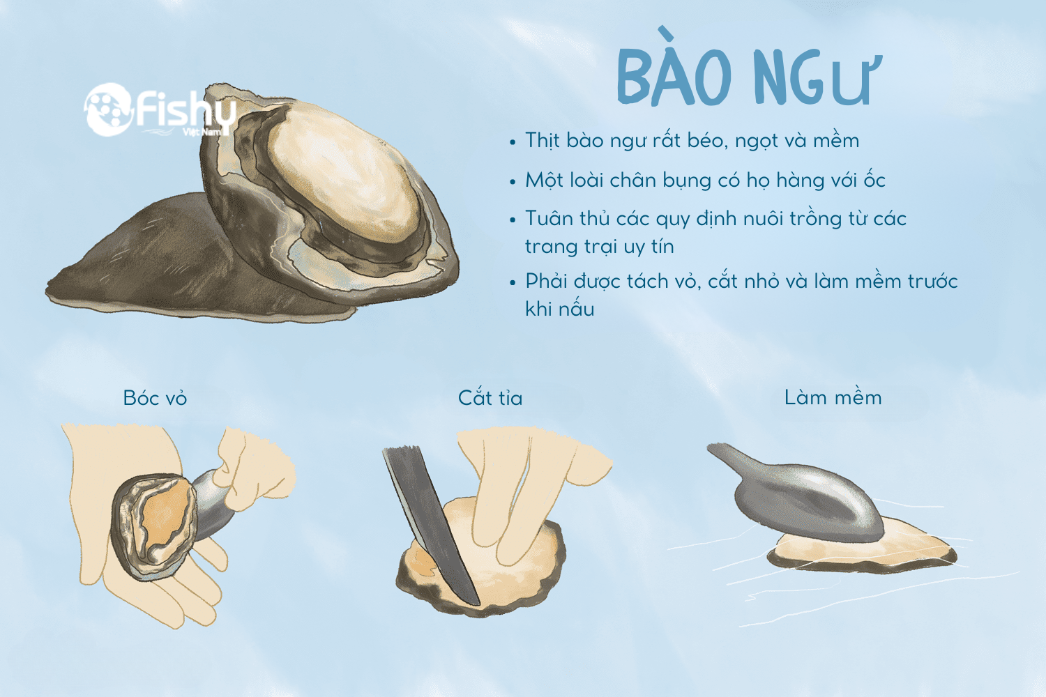 Bào ngư Úc bóc vỏ, cắt tỉa, làm mềm Bào ngư Úc bóc vỏ, cắt tỉa, làm mềm