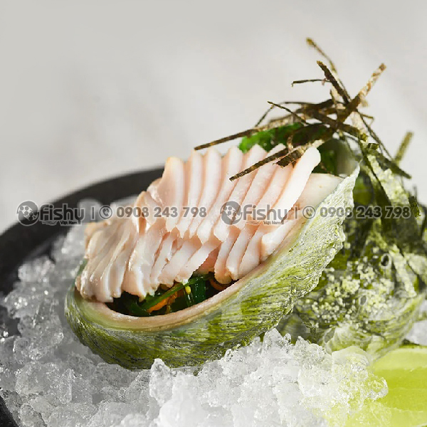 Bào ngư sashimi Bào ngư sashimi